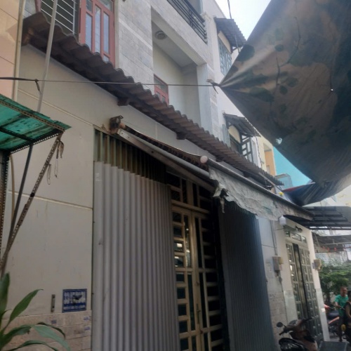 Bán nhà 33// đường Nguyễn Sỹ Sách, phường Tân Sơn (P15), Quận Tân Bình, HCM
